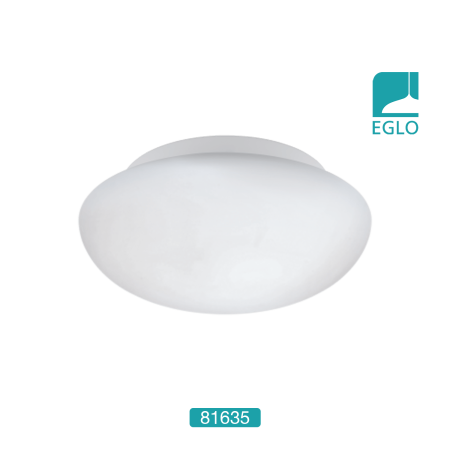 Wall / Ceiling Light