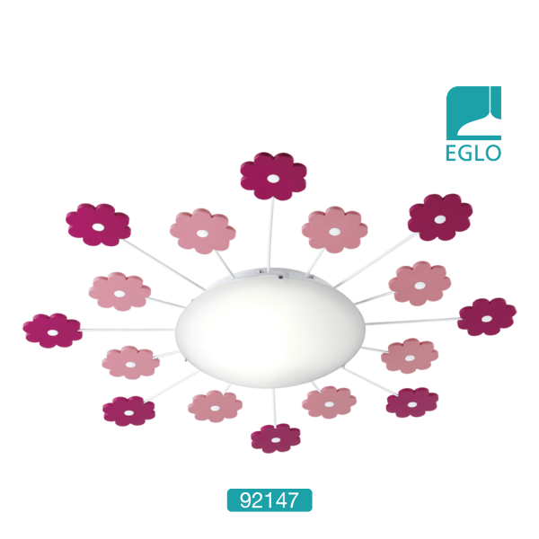 Wall / Ceiling Light