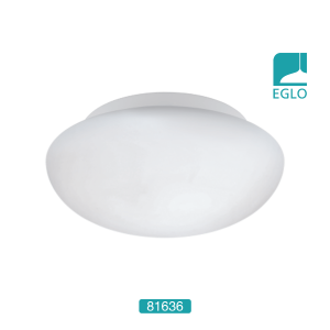 Wall / Ceiling Light