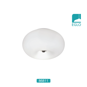 Wall / Ceiling Light