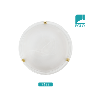 Ceiling Light
