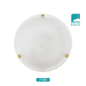 Ceiling Light